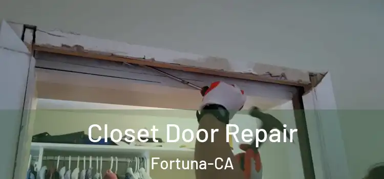 Closet Door Repair Fortuna-CA