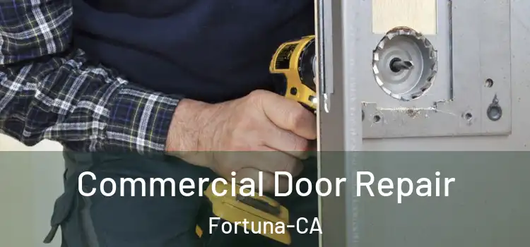 Commercial Door Repair Fortuna-CA