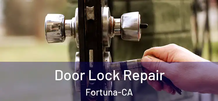  Door Lock Repair Fortuna-CA