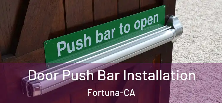  Door Push Bar Installation Fortuna-CA