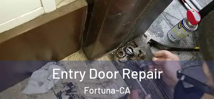  Entry Door Repair Fortuna-CA