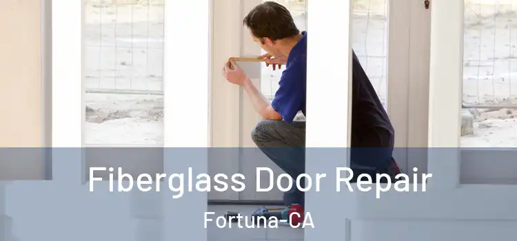  Fiberglass Door Repair Fortuna-CA