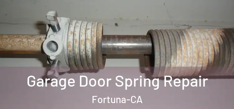 Garage Door Spring Repair Fortuna-CA