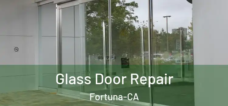 Glass Door Repair Fortuna-CA