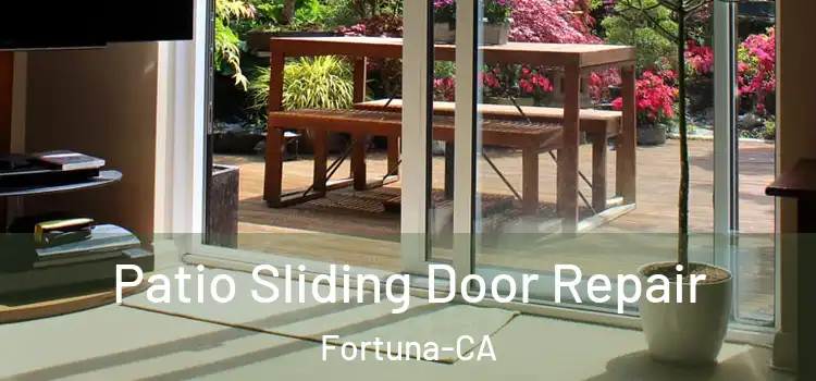 Patio Sliding Door Repair Fortuna-CA